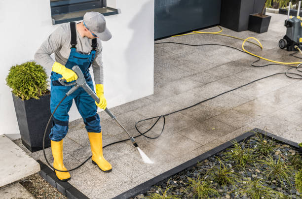 Best Pressure Washing Patio  in Palmyra, MO