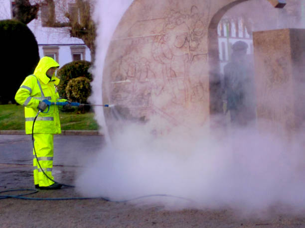 Best Power Washing Near Me  in Palmyra, MO