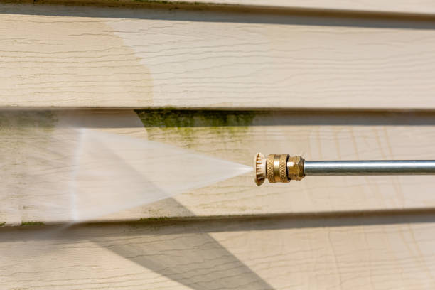 Best Pressure Washing Near Me  in Palmyra, MO
